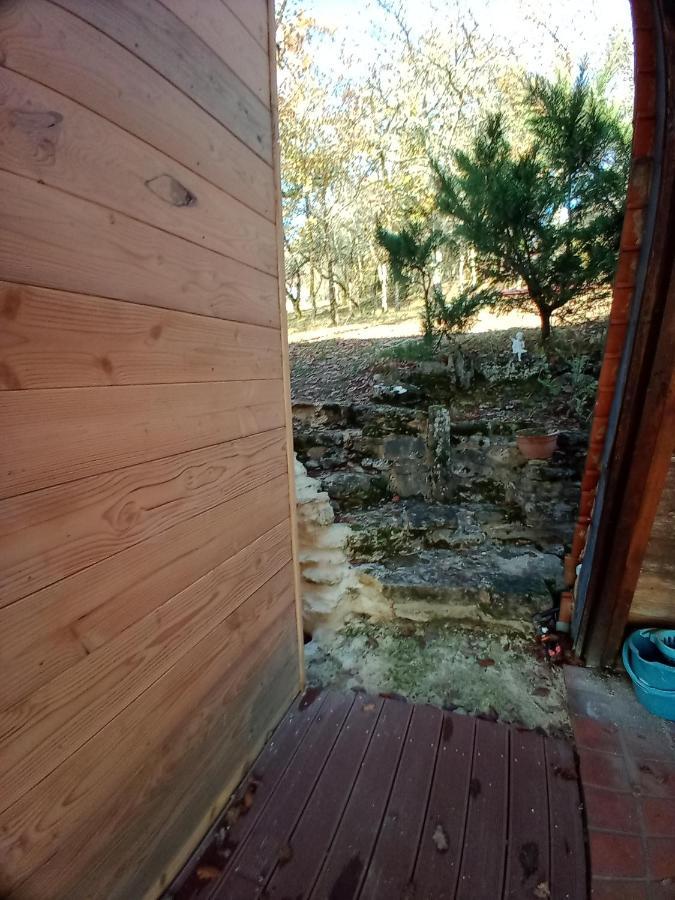 Maison Dans Un Ecrin De Verdure Saint-Leon-sur-Vezere Eksteriør bilde